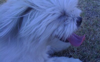 Happiness is a direction, not a destination!