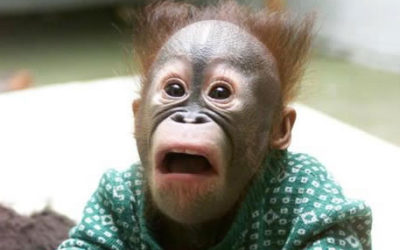 Face and embrace your fears & insecurities