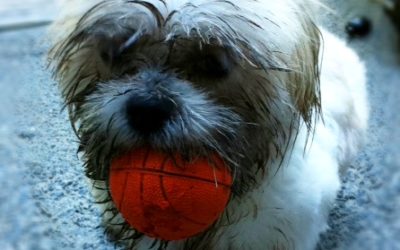 Nothing is bad… It’s all content!