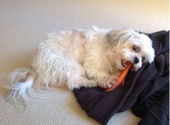 Now’s the time to choose immunity!