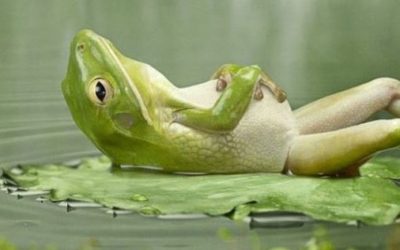 Success is bigger than you