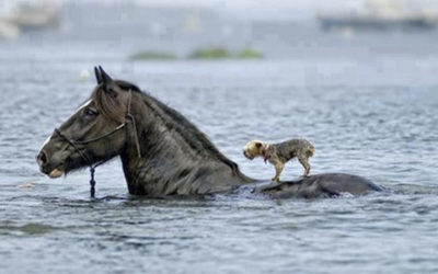 Giving is a gift for you!