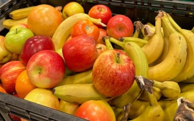 Focus on AI; Actual Intelligence